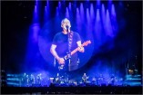 Gilmour 160628 (c) Andreas Mueller 281